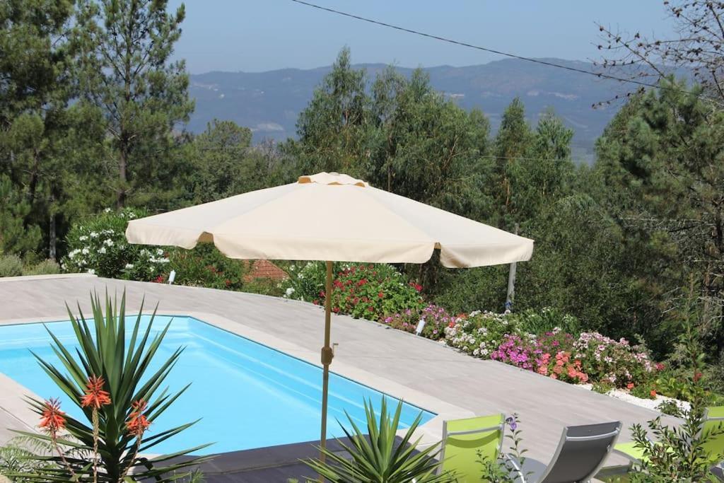 Casa Quelha Da Presa Βίλα Espinho  Εξωτερικό φωτογραφία